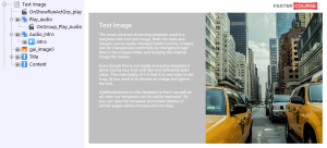 FasterCourse City Template Text Image page