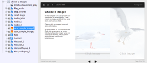 FasterCourse Oceanside Template Choice 2 Images page