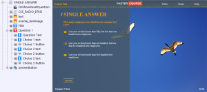 FasterCourse Countryside Template Single Answer page