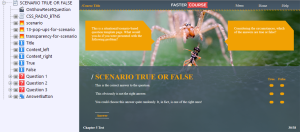 FasterCourse Countryside Template Scenario True/False page