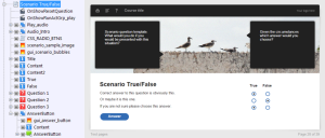 FasterCourse Oceanside Template True or False page
