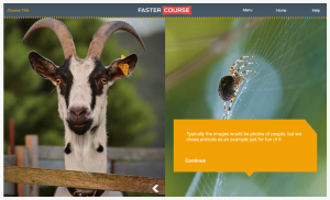 Articulate Storyline Countryside Guide Conversation Preview