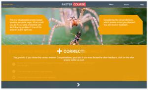 Articulate Storyline Countryside Guide Test Feedback Preview