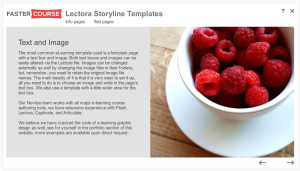 Articulate Storyline Free Guide Text and Image Preview