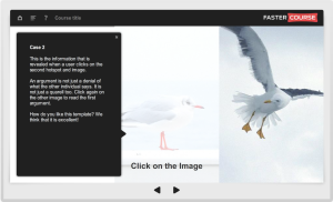 Articulate Storyline Oceanside Guide Case 2 Images Preview