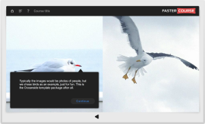 Articulate Storyline Oceanside Guide Conversation Preview