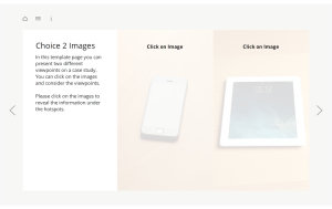 Articulate Storyline StartUp Guide Choice 2 Images Preview