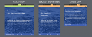 FasterCourse_Captivate_responsive