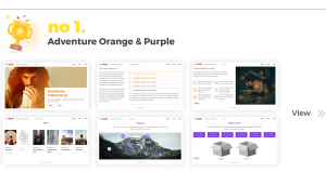 Top Elearning Templates FasterCourse_Storyline_Adventure