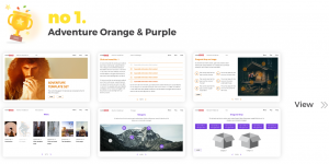 Top Elearning Templates FasterCourse_Storyline_Adventure