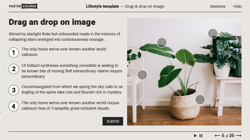 lifestyle elearning template