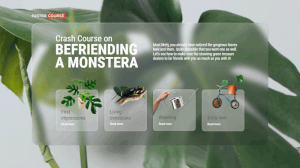 Glassmorphism_Monstera