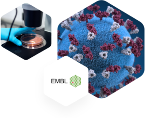 FasterCourse_EMBL_Case_Studie