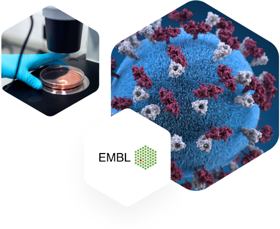 FasterCourse_EMBL_Case_Studie