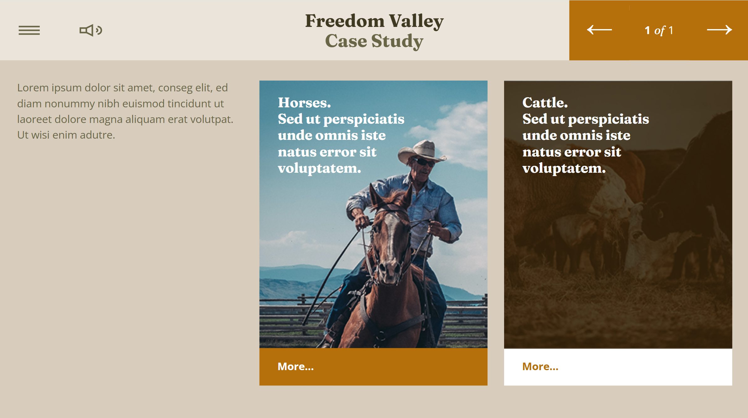 FasterCourse_Storyline_Freedom_Valley_Freebie