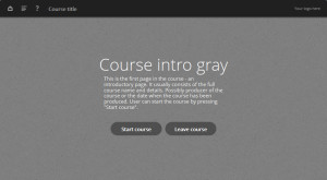 gray oceanside e-learning templates example