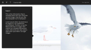 gray oceanside e-learning templates example