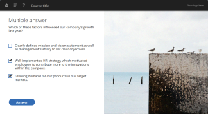 blue oceanside e-learning template