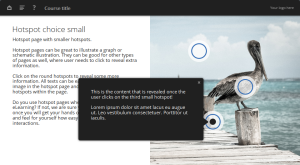 blue oceanside e-learning template