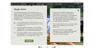 custom e-learning templates example