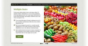 custom e-learning templates example