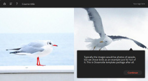 red oceanside e-learning templates example