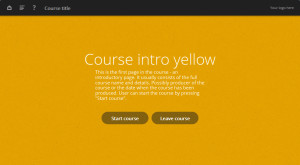 yellow oceanside e-learning template example