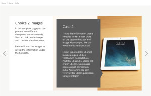 Articulate Storyline template startup, Articulate Storyline templates