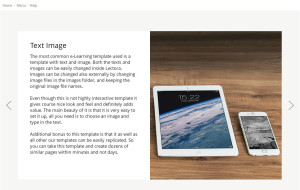 Articulate Storyline template startup, Articulate Storyline templates