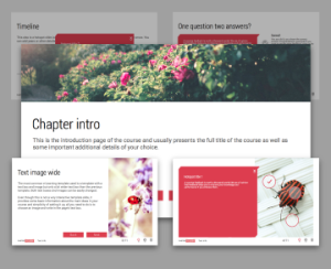 Info page templates Minimal