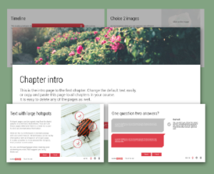 captivate template
