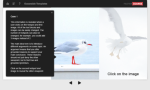 Adobe Captivate template Oceanside