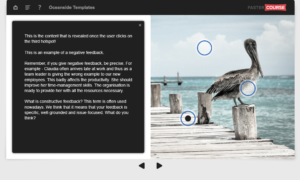 Adobe Captivate template Oceanside