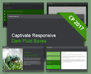 FasterCourse_Captivate_Darl_Fluid_Boxes