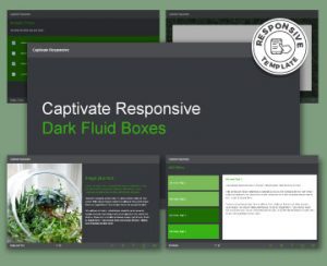 FasterCourse_Captivate_Responsive_Dark_Fluid_Boxes