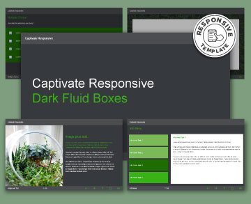 FasterCourse_Captivate_Responsive_Dark_Fluid_Boxes